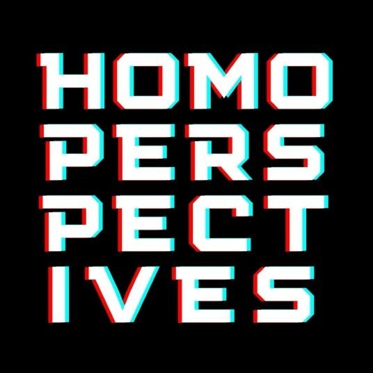 HOMOPERSPECTIVES (video still)